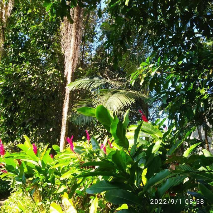 Villa Castelinho Do Felix Guaruja Pernambuco Exterior foto